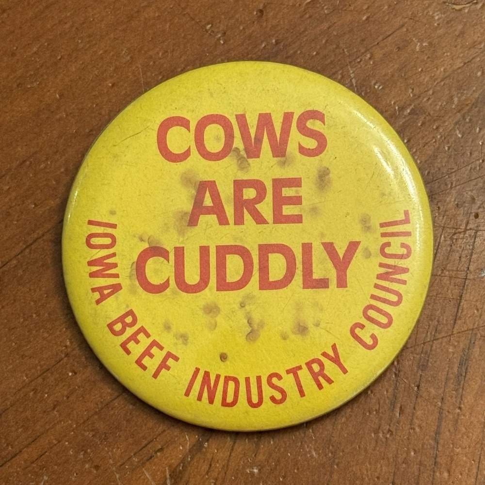 Cows Are Cuddly Iowa Beef Industry Council VTG Pinback Button Pin Round Circle